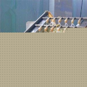 洋槐花市場(chǎng)綜述 價(jià)格、品牌廠(chǎng)家與預(yù)包裝食品批發(fā)指南