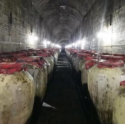 文藝精品謳歌時代 遵義市紅花崗區(qū)作家協(xié)會以酒業(yè)進(jìn)出口為筆